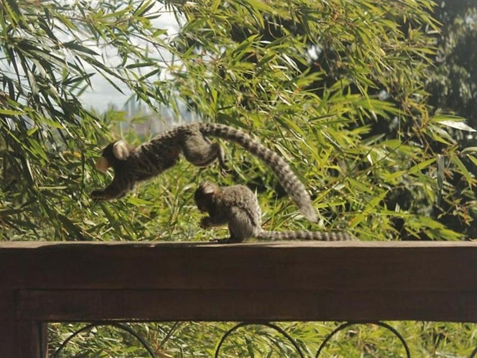 Pousada Villa オリンダ エクステリア 写真